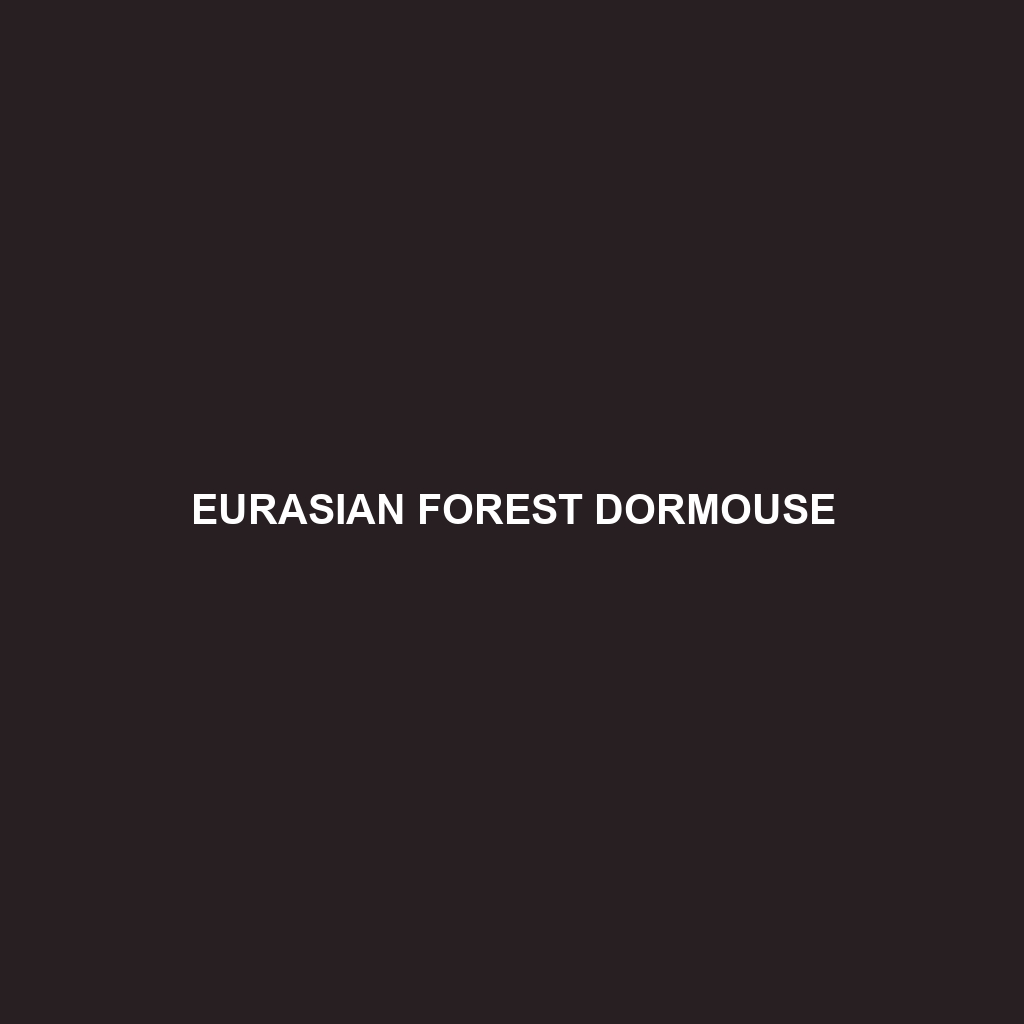 Eurasian Forest Dormouse