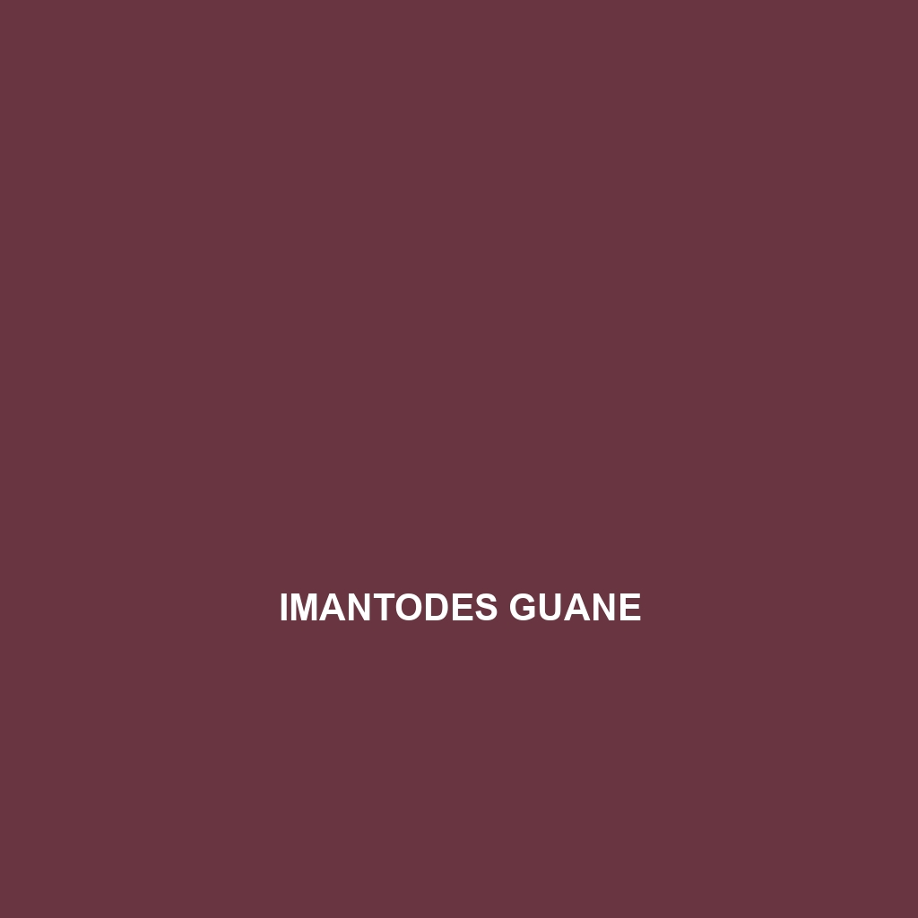 Imantodes guane