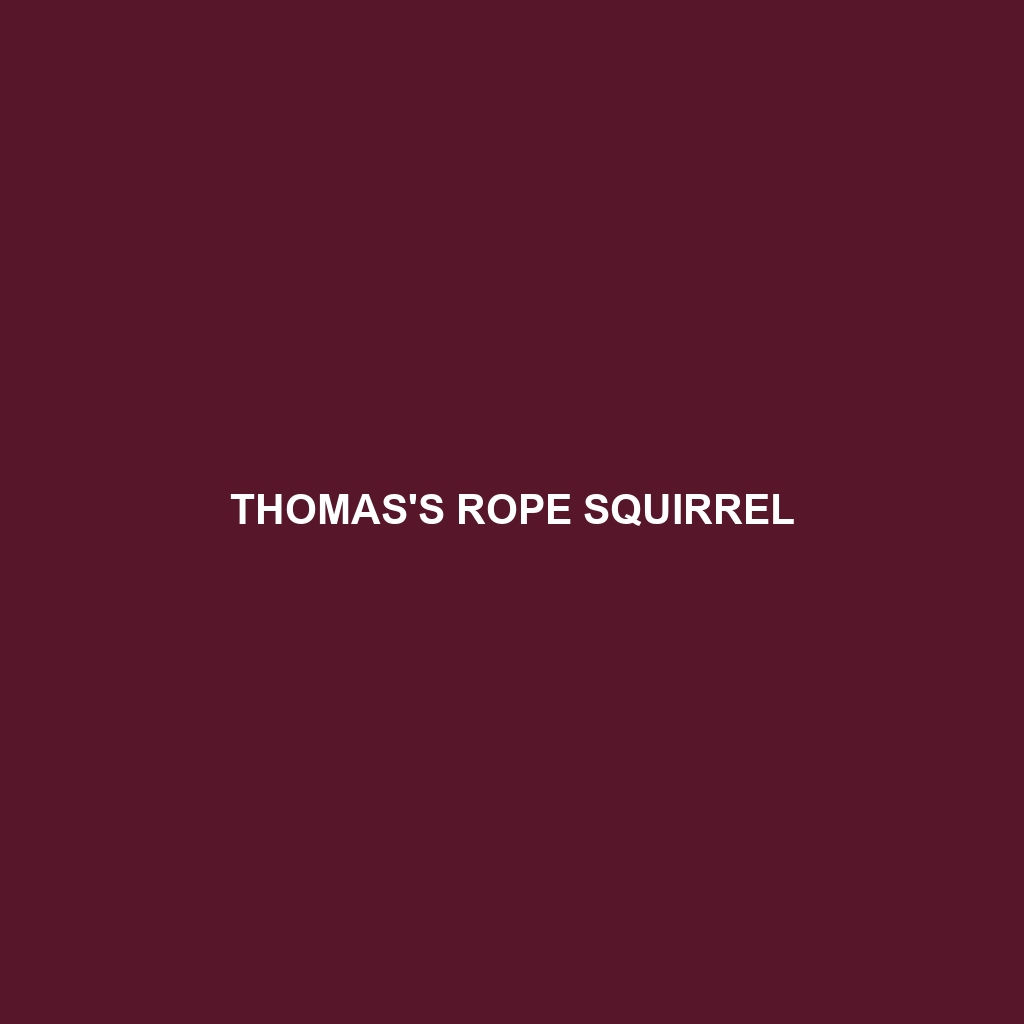 Thomas's Rope Squirrel