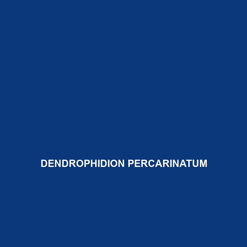 Dendrophidion percarinatum