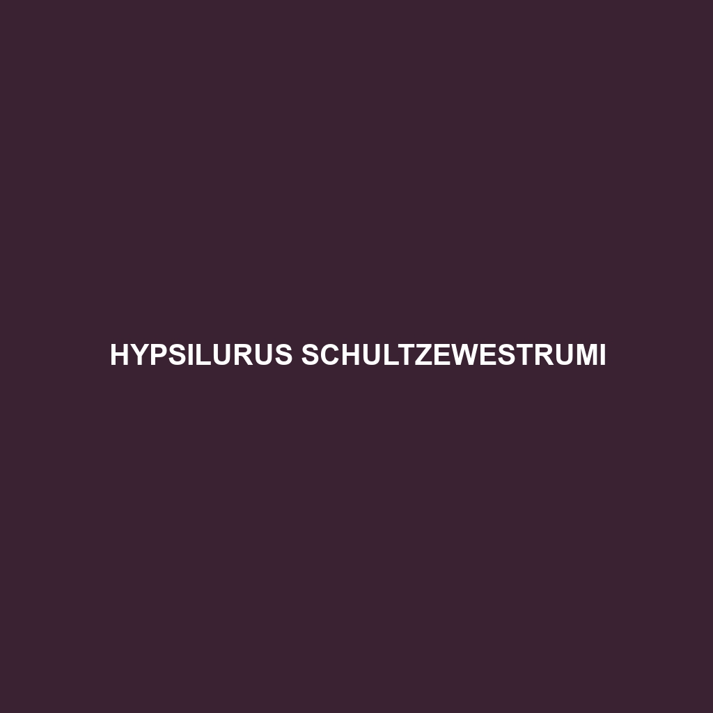 Hypsilurus schultzewestrumi