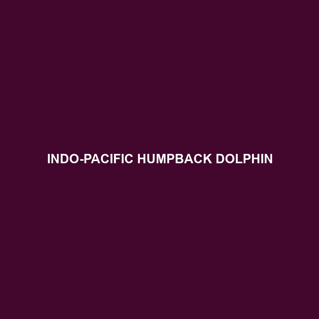 Indo-Pacific Humpback Dolphin