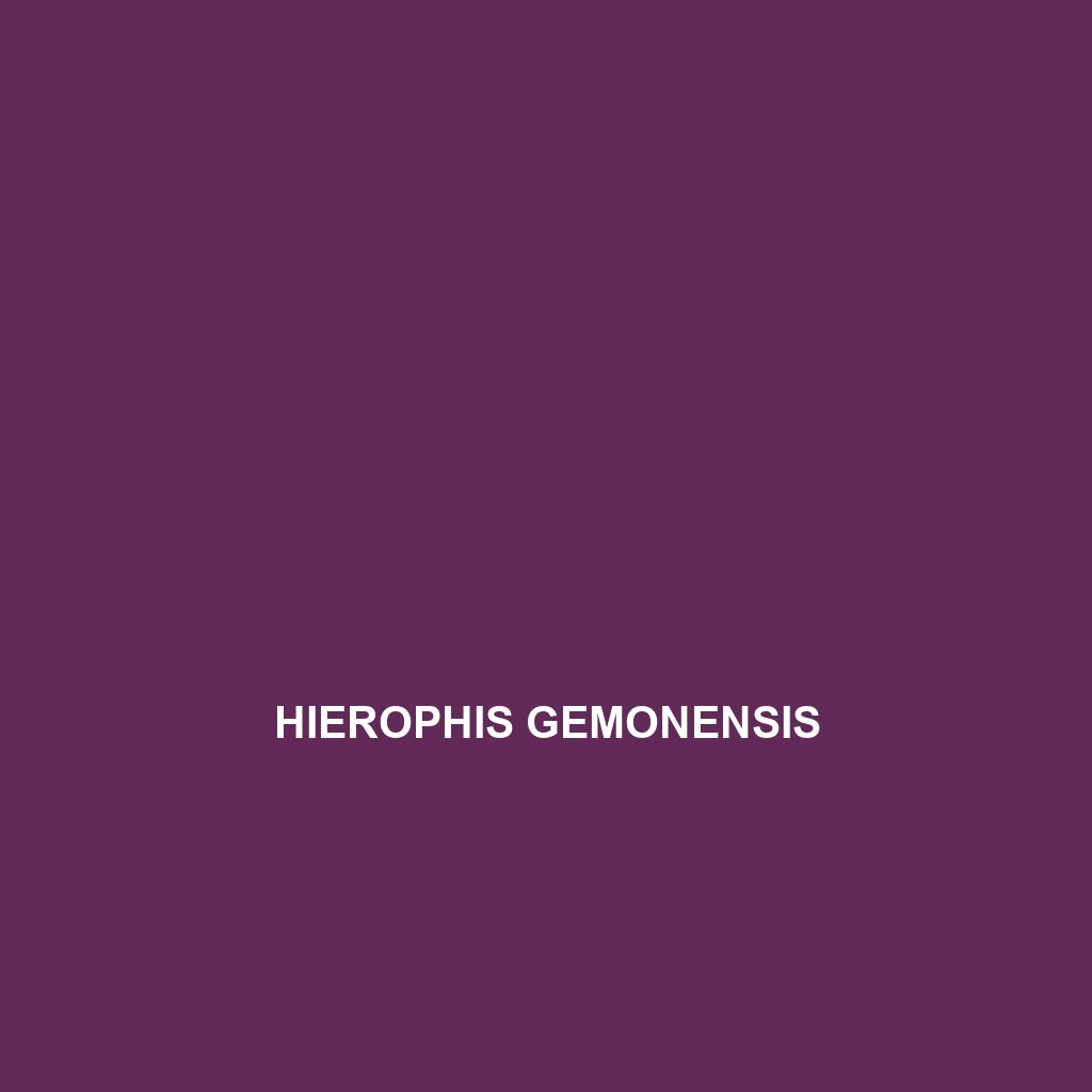 Hierophis gemonensis