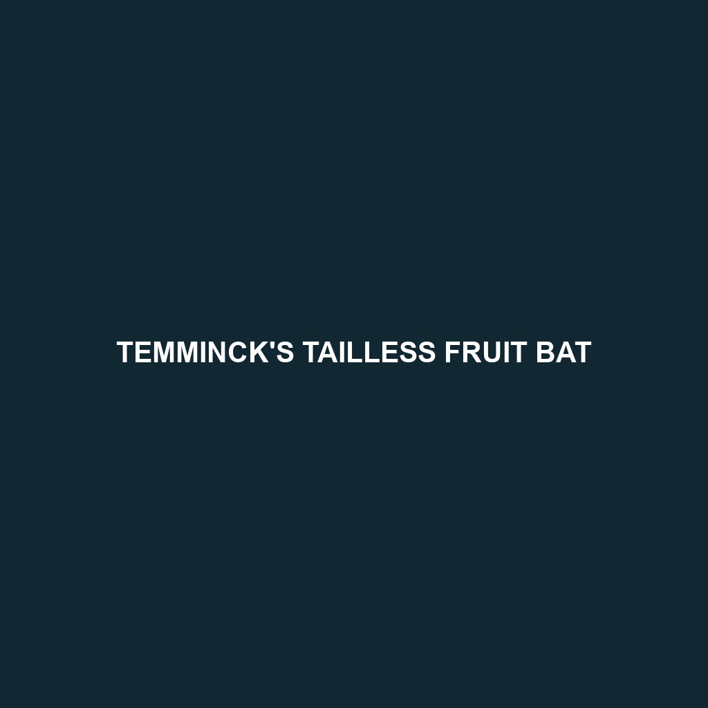 Temminck's Tailless Fruit Bat