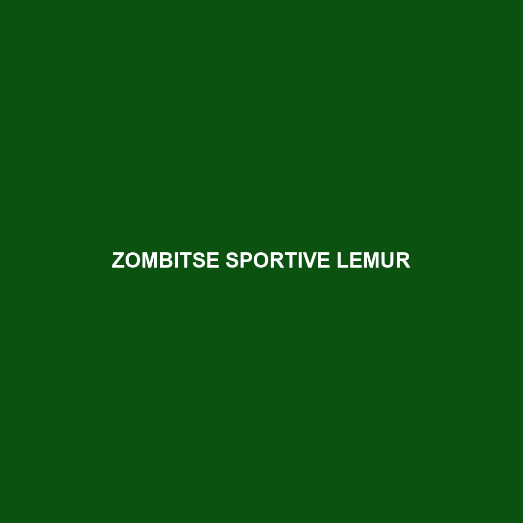 Zombitse Sportive Lemur