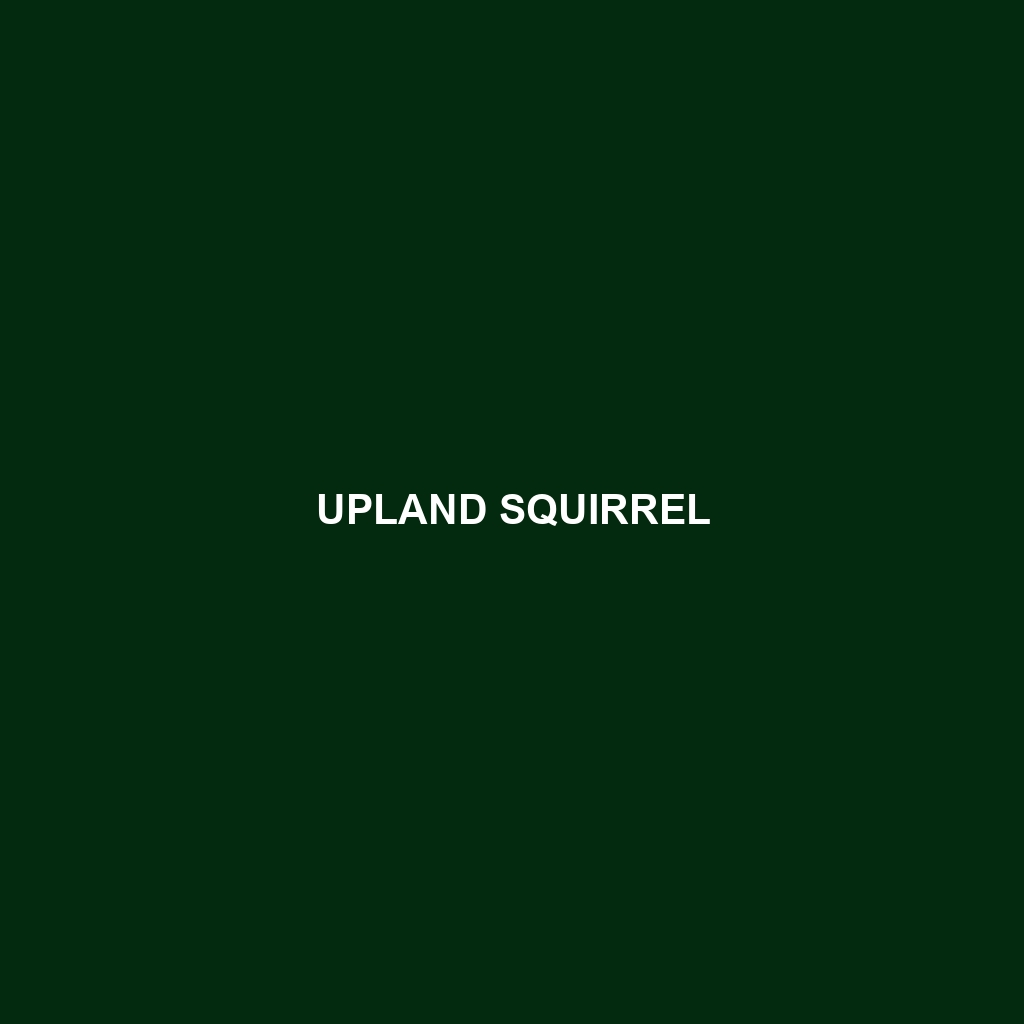 Upland Squirrel