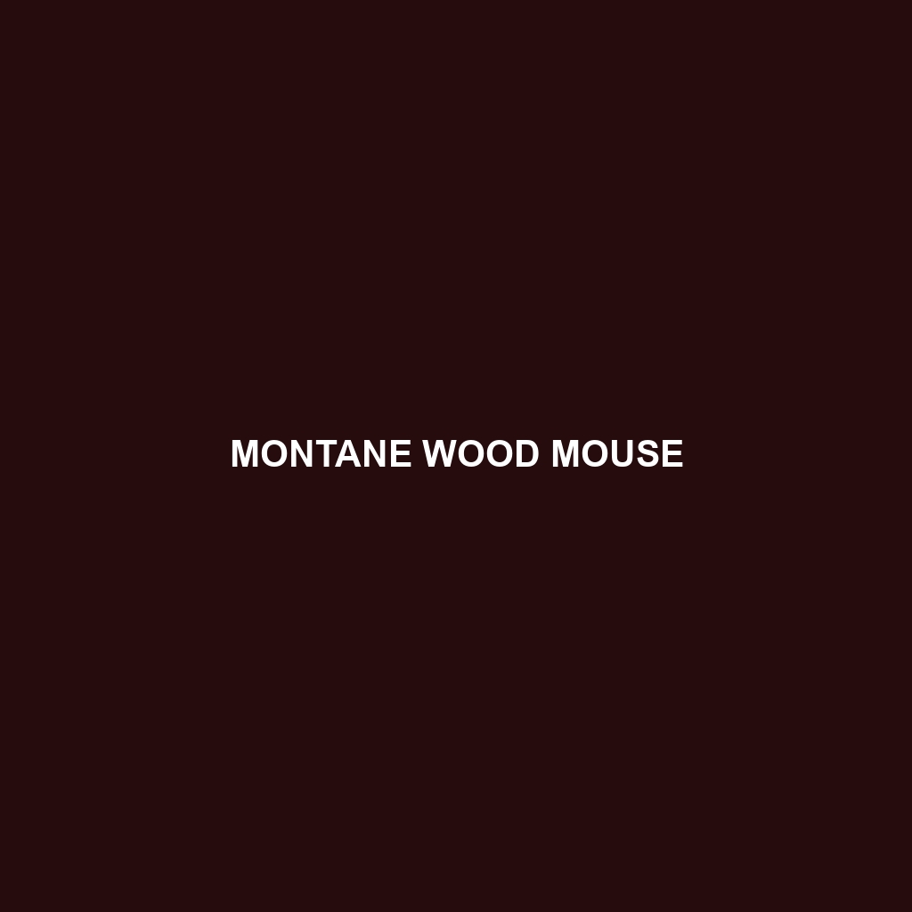 Montane Wood Mouse