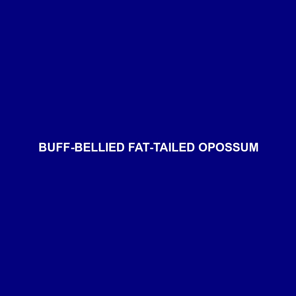 Buff-bellied Fat-tailed Opossum