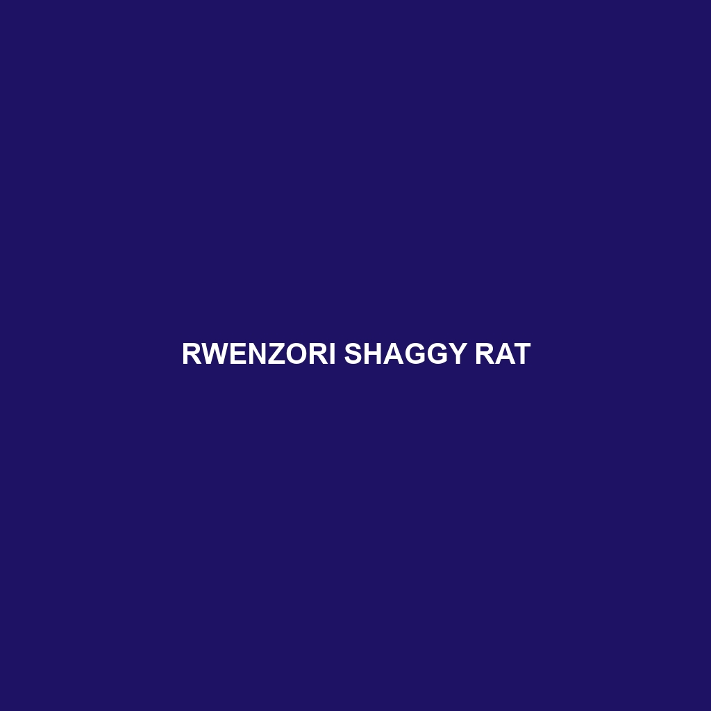 Rwenzori Shaggy Rat