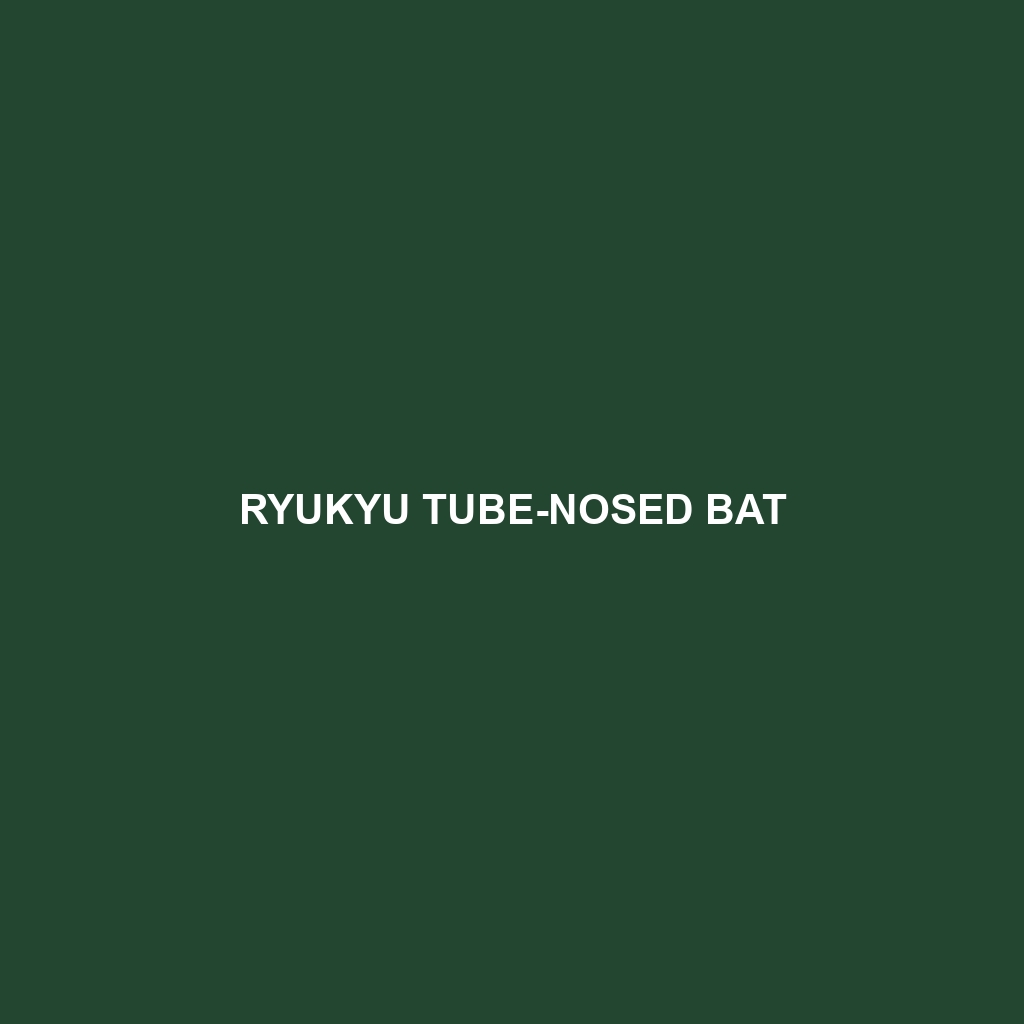 Ryukyu Tube-nosed Bat