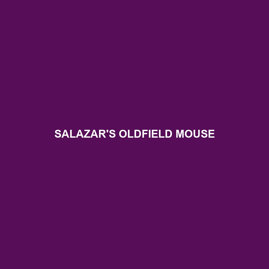 Salazar's Oldfield Mouse