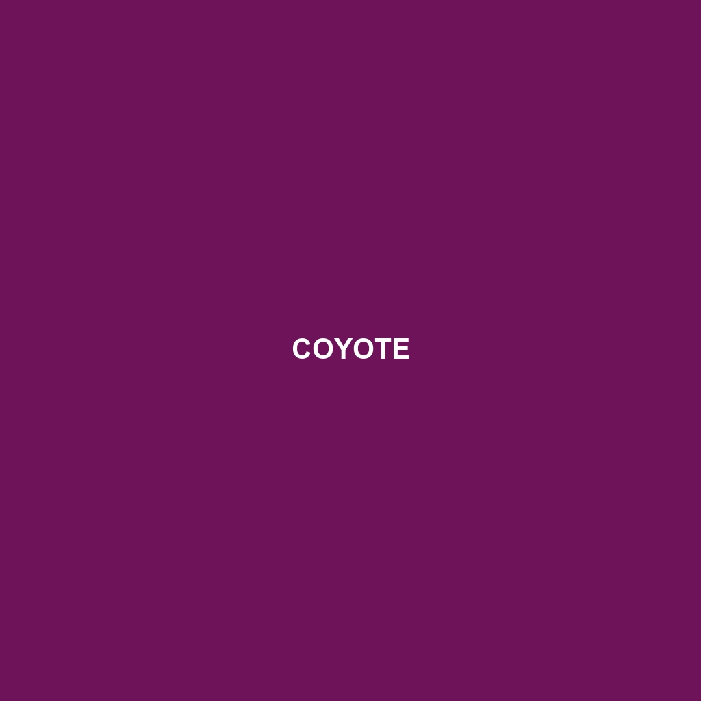 Coyote