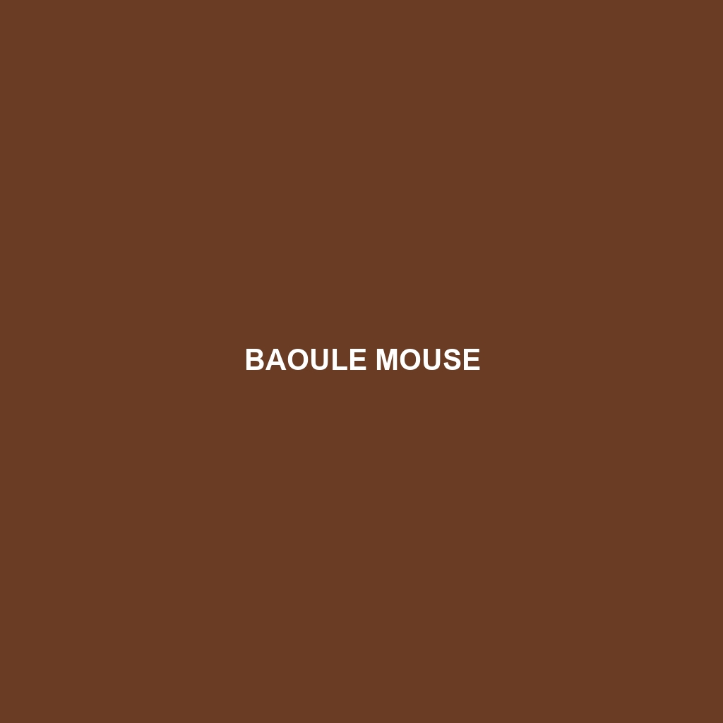 Baoule Mouse