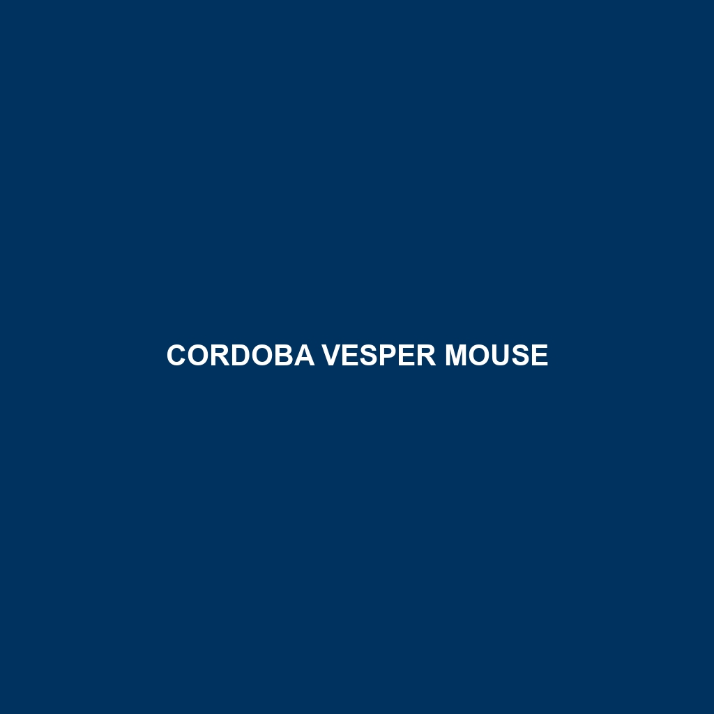 Cordoba Vesper Mouse