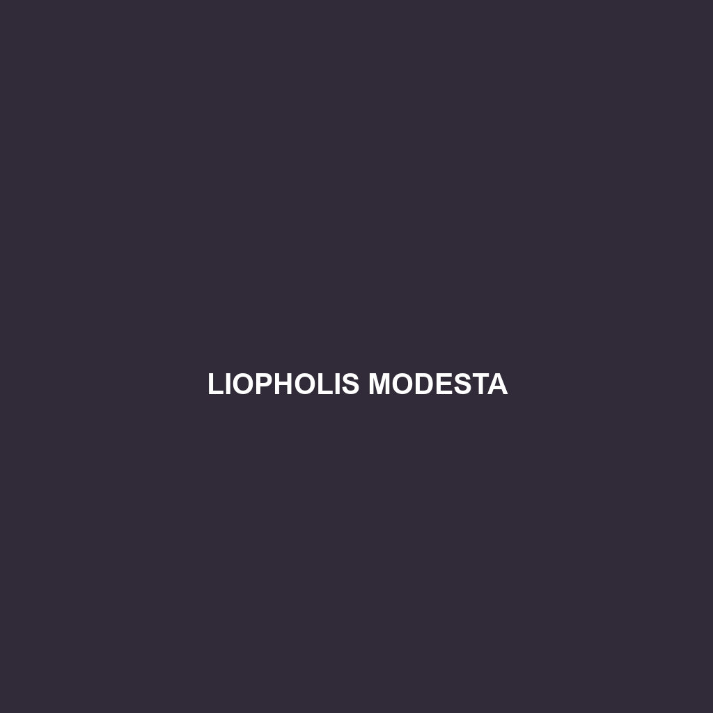 Liopholis modesta