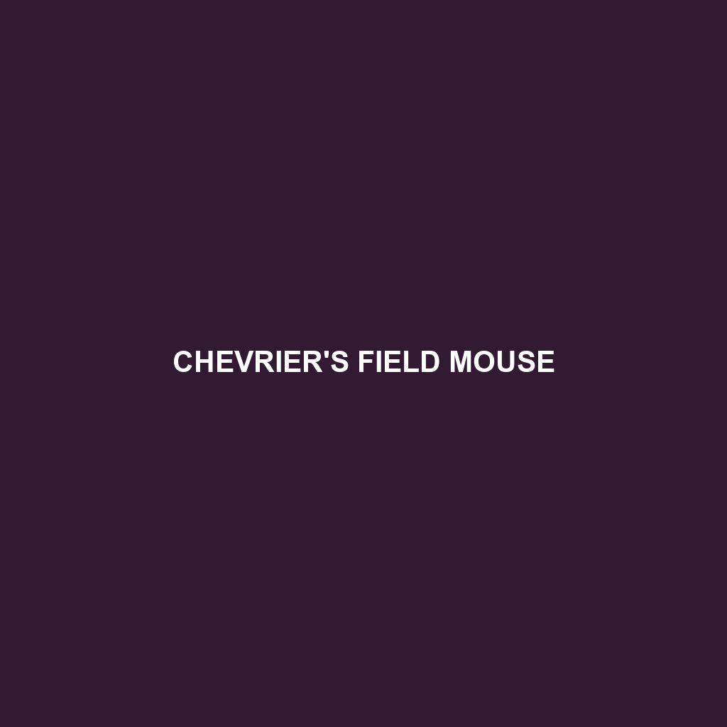 Chevrier's Field Mouse