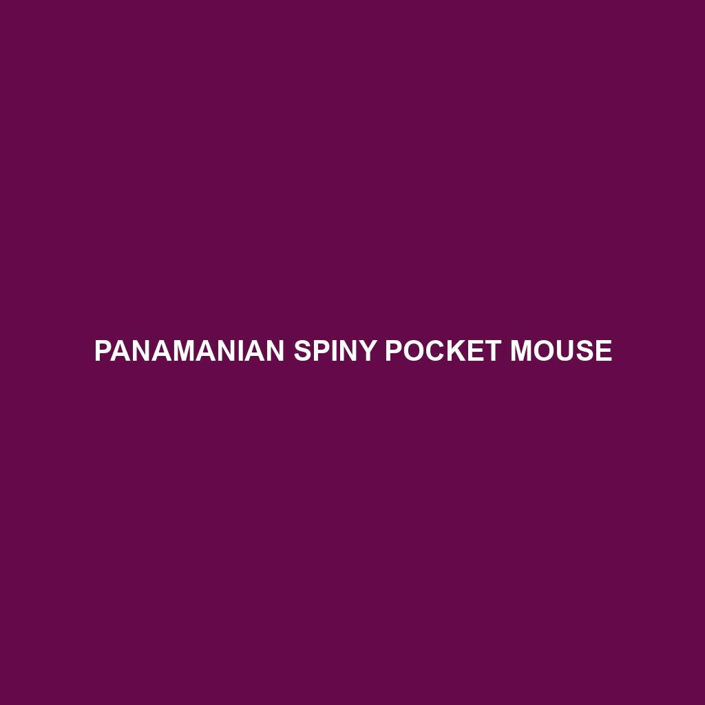 Panamanian Spiny Pocket Mouse