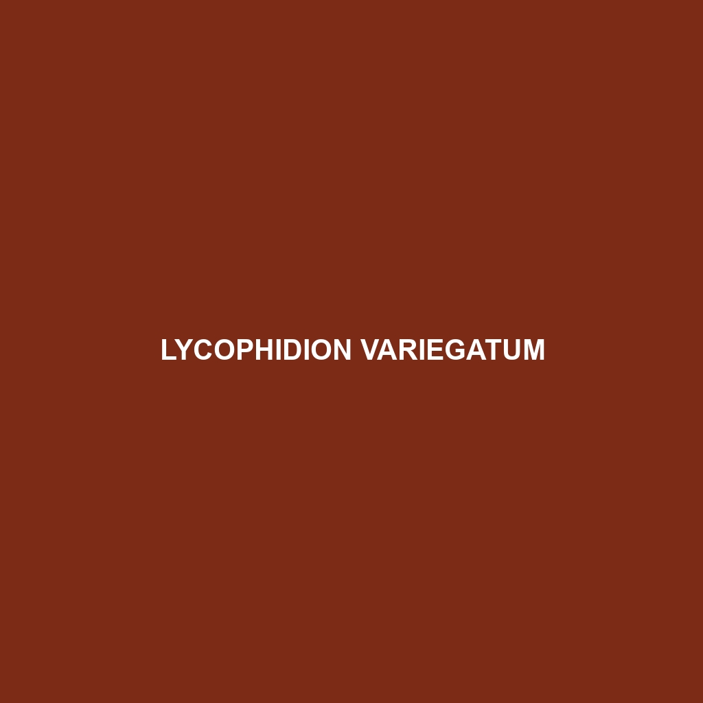 Lycophidion variegatum