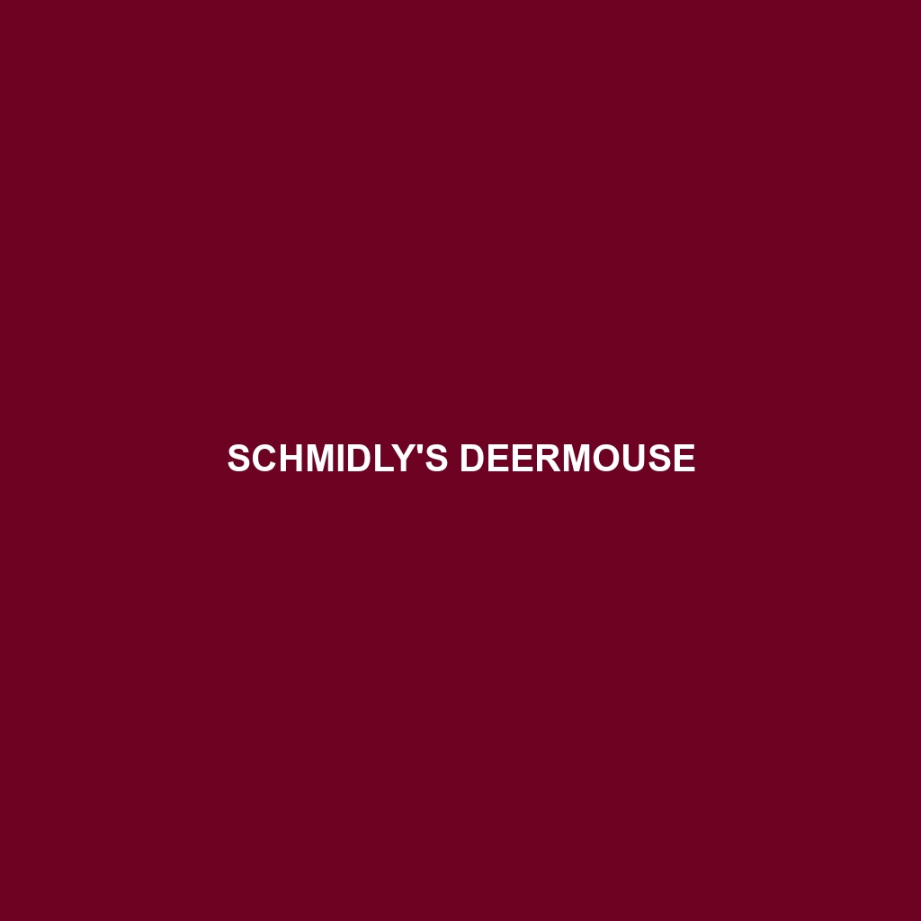 Schmidly's Deermouse