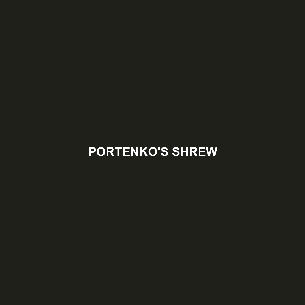 Portenko's Shrew