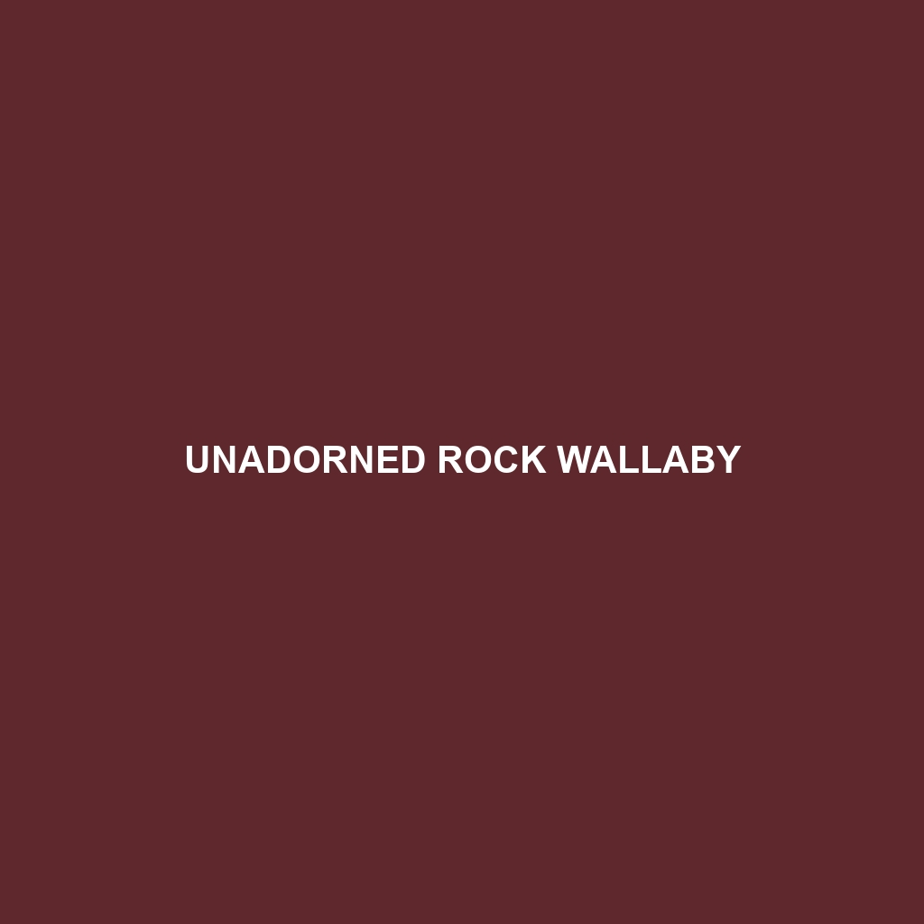 Unadorned Rock Wallaby