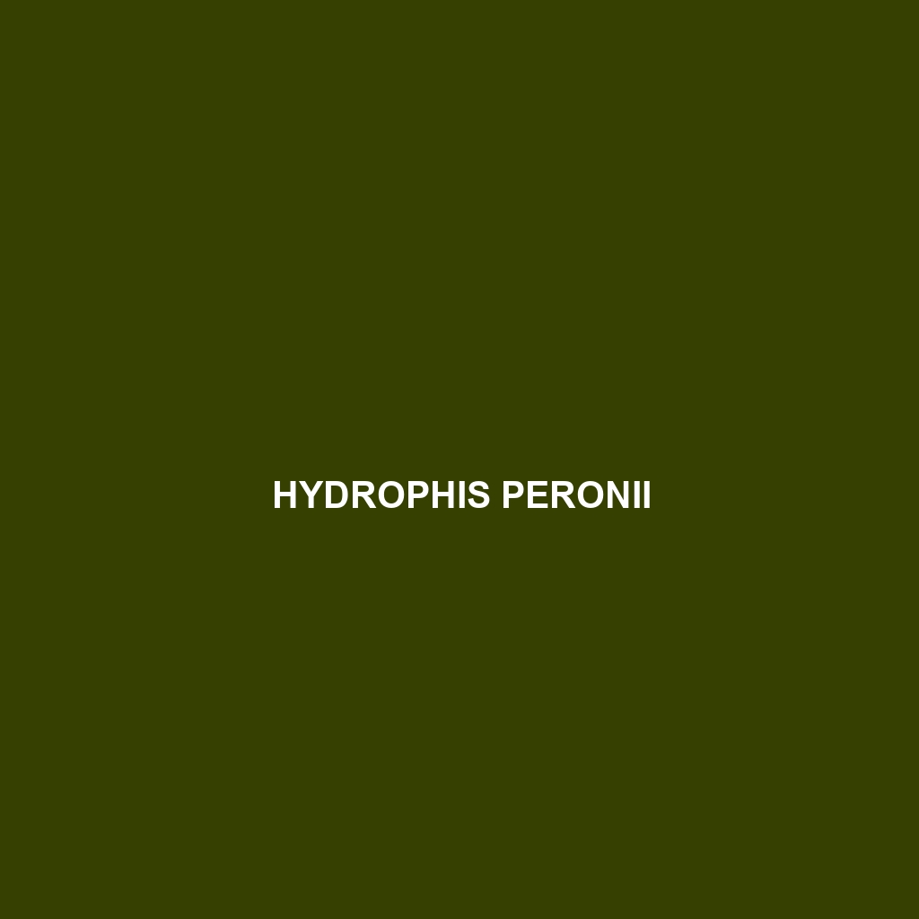 Hydrophis peronii