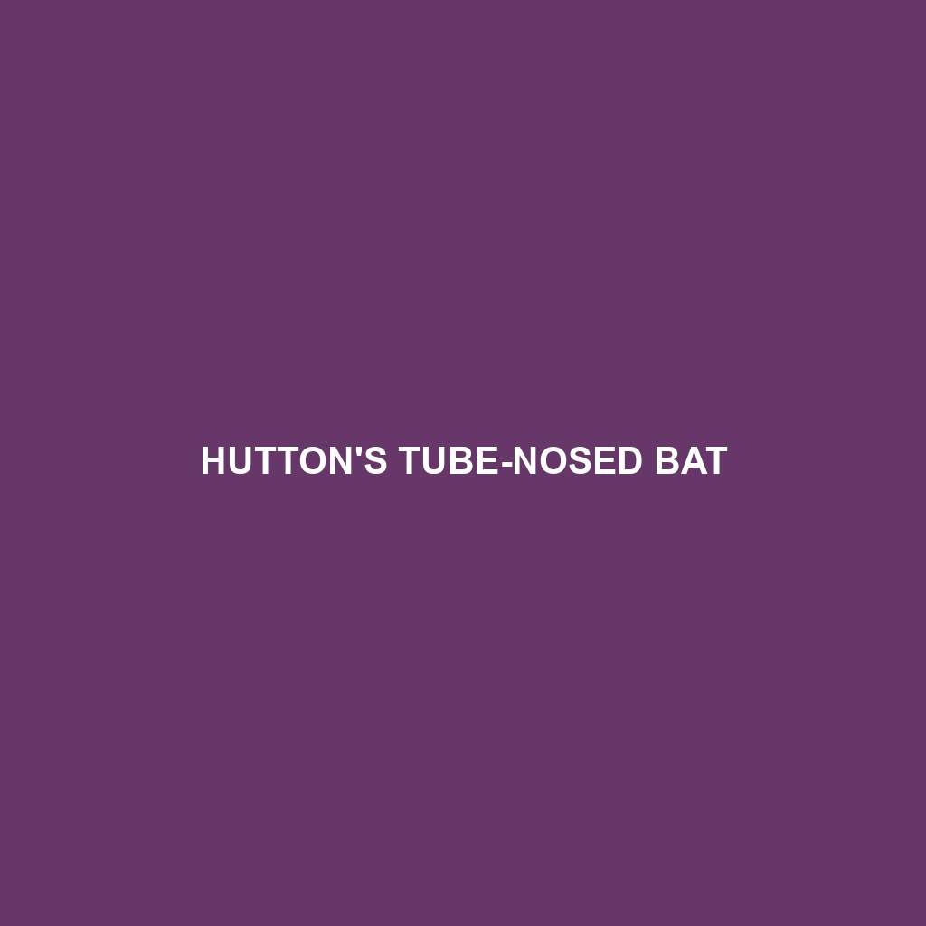 Hutton's Tube-nosed Bat