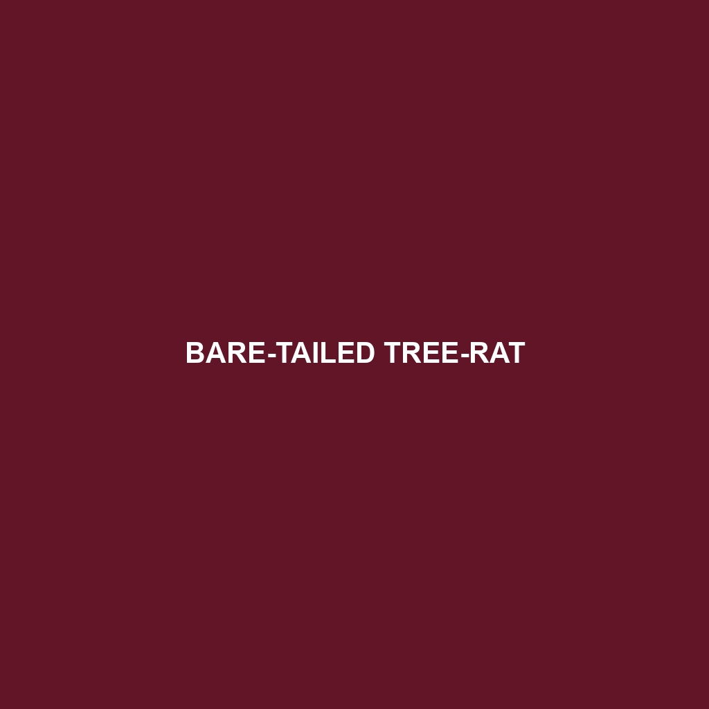 Bare-tailed Tree-rat