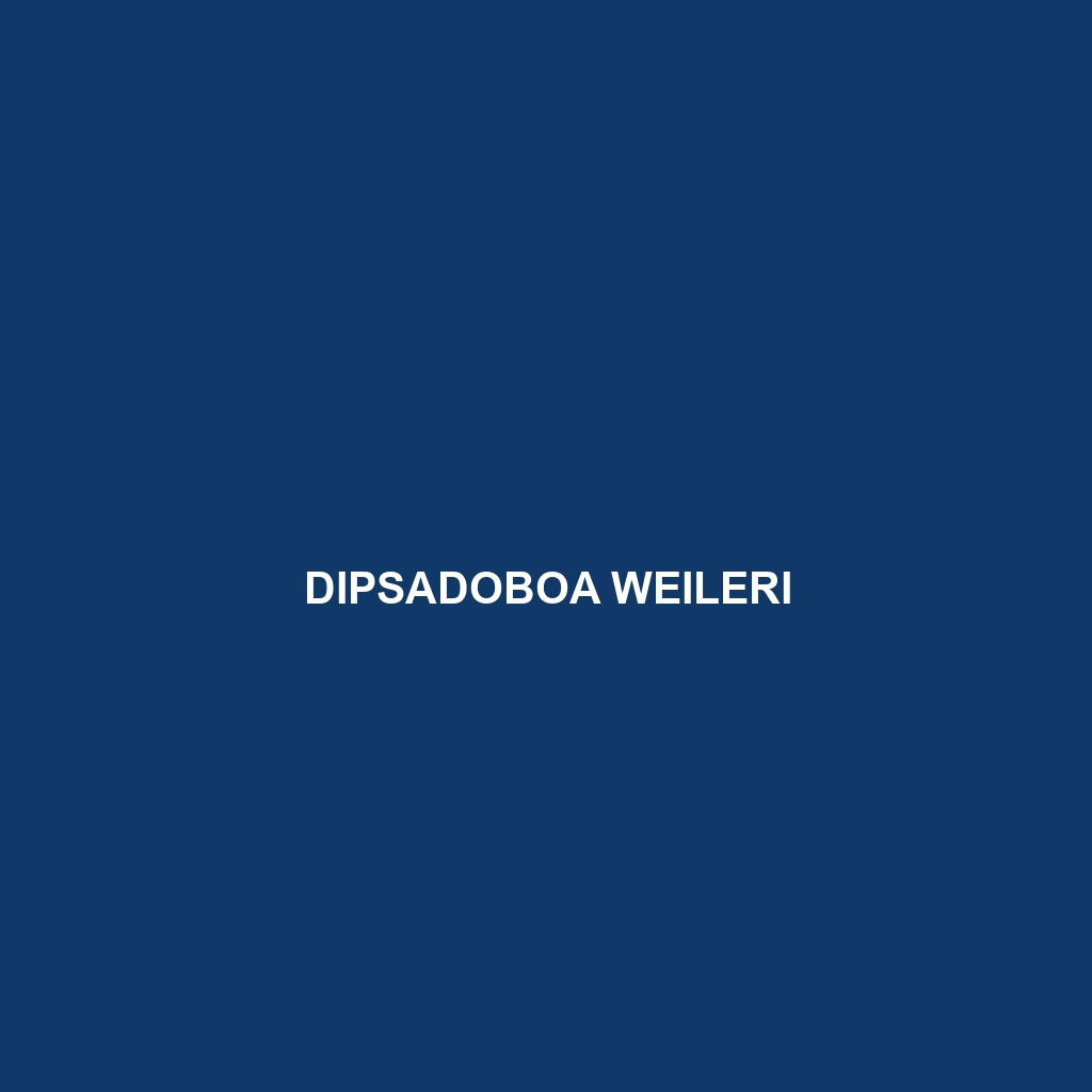 Dipsadoboa weileri