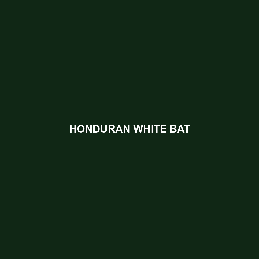 Honduran White Bat