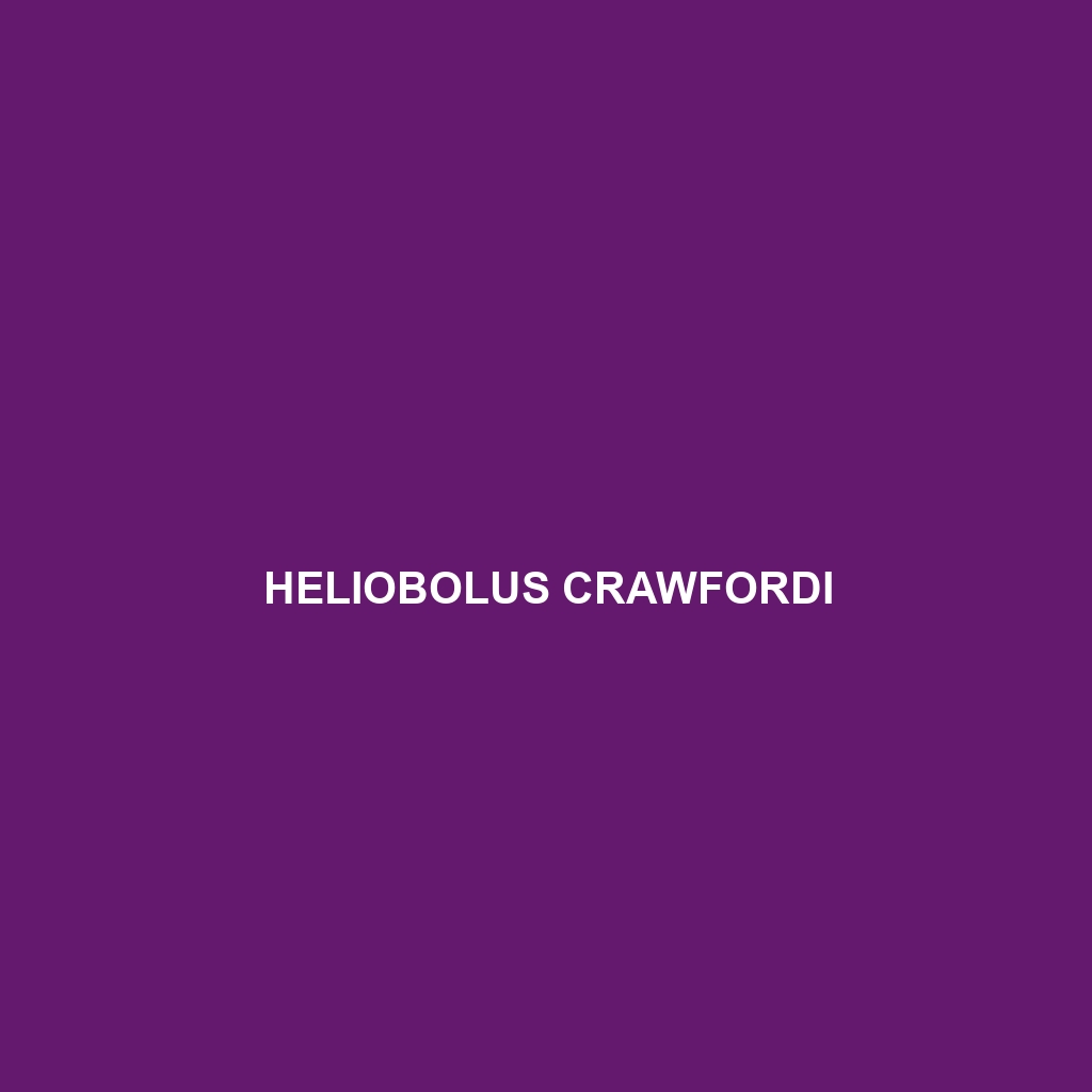 Heliobolus crawfordi