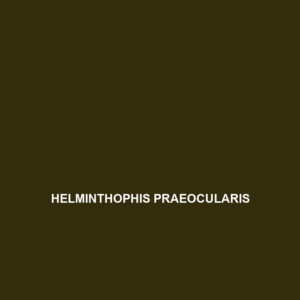 Helminthophis praeocularis