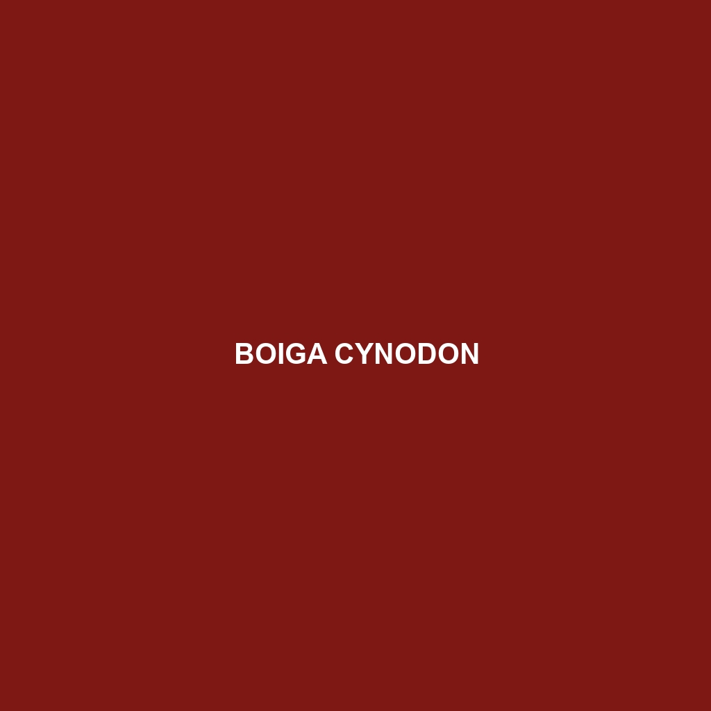 Boiga cynodon