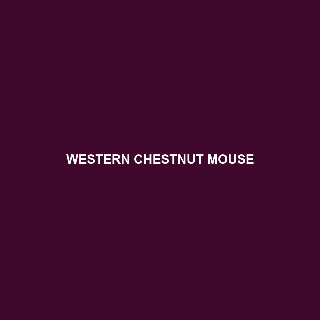 Western Chestnut Mouse