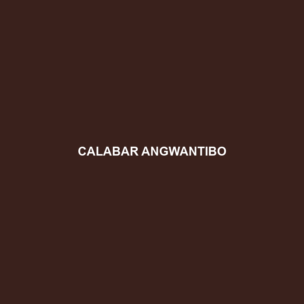 Calabar Angwantibo