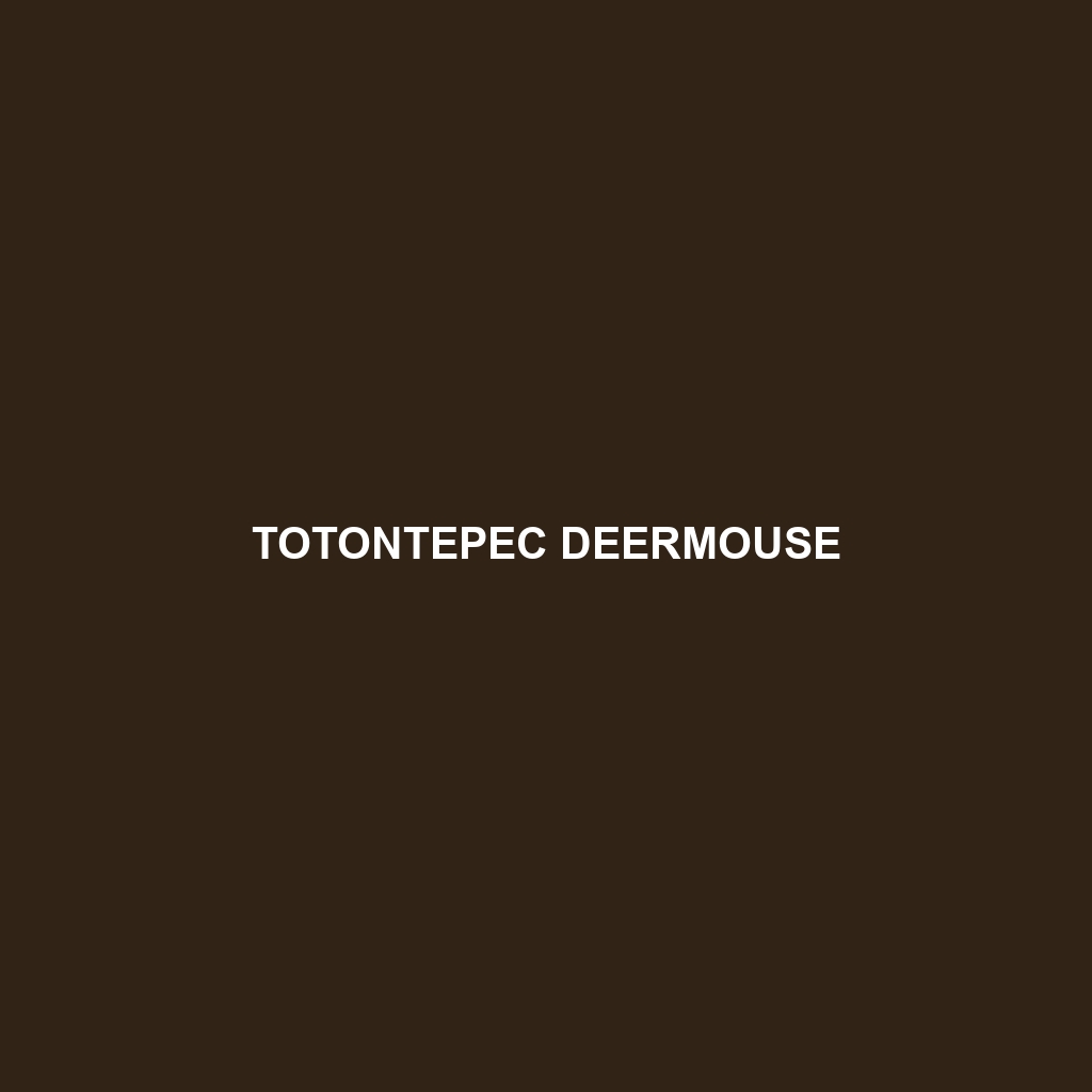 Totontepec Deermouse