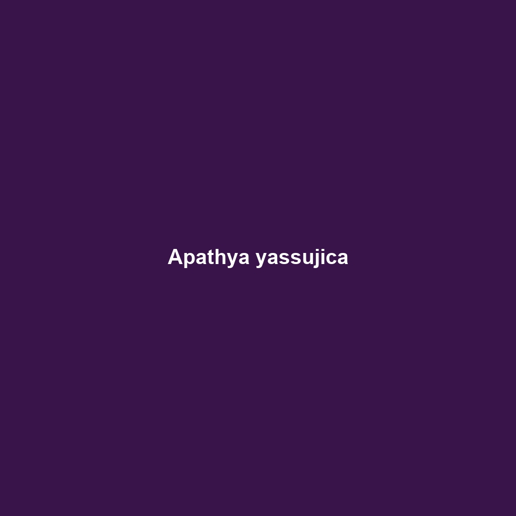 Apathya yassujica