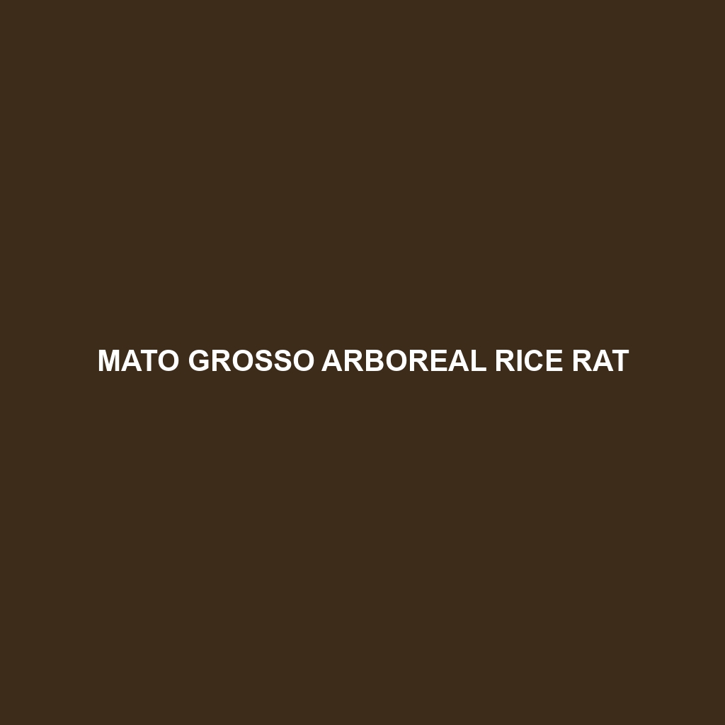 Mato Grosso Arboreal Rice Rat