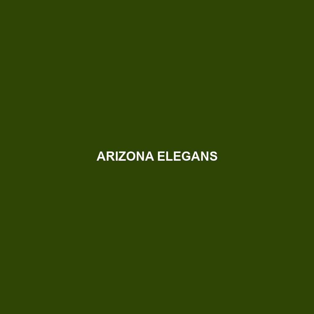 Arizona elegans