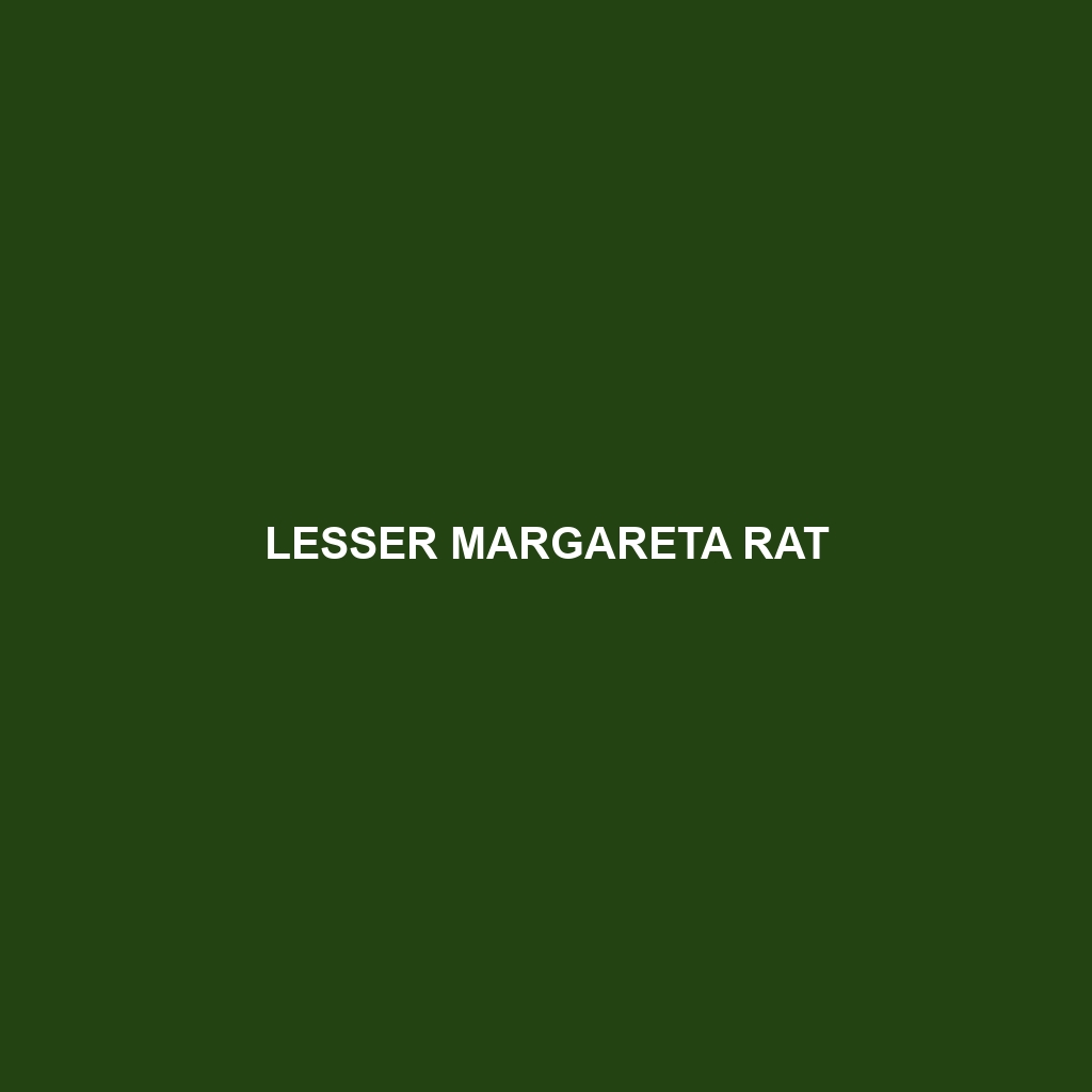 Lesser Margareta Rat