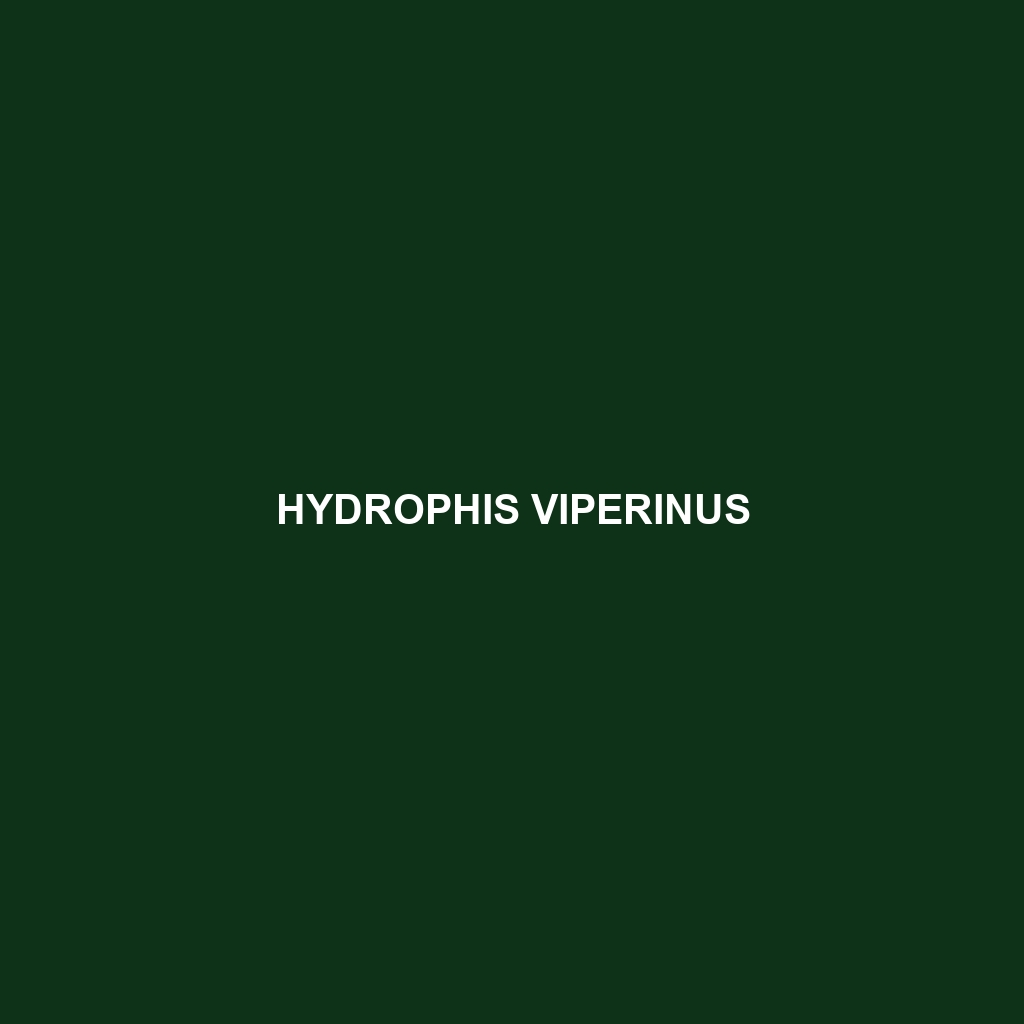 Hydrophis viperinus