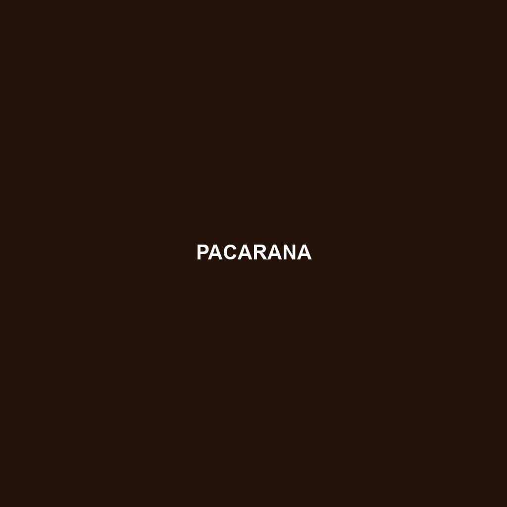 Pacarana