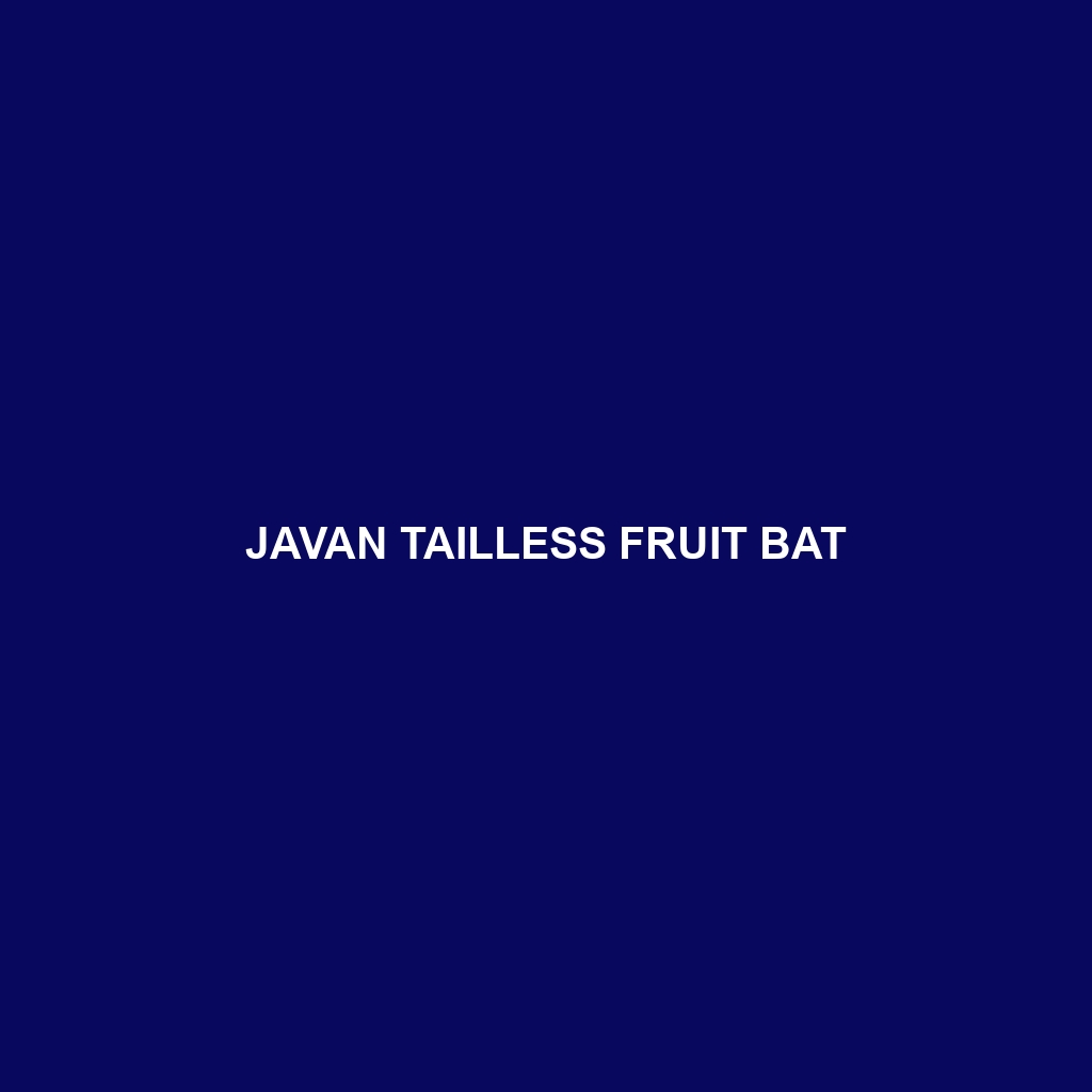 Javan Tailless Fruit Bat