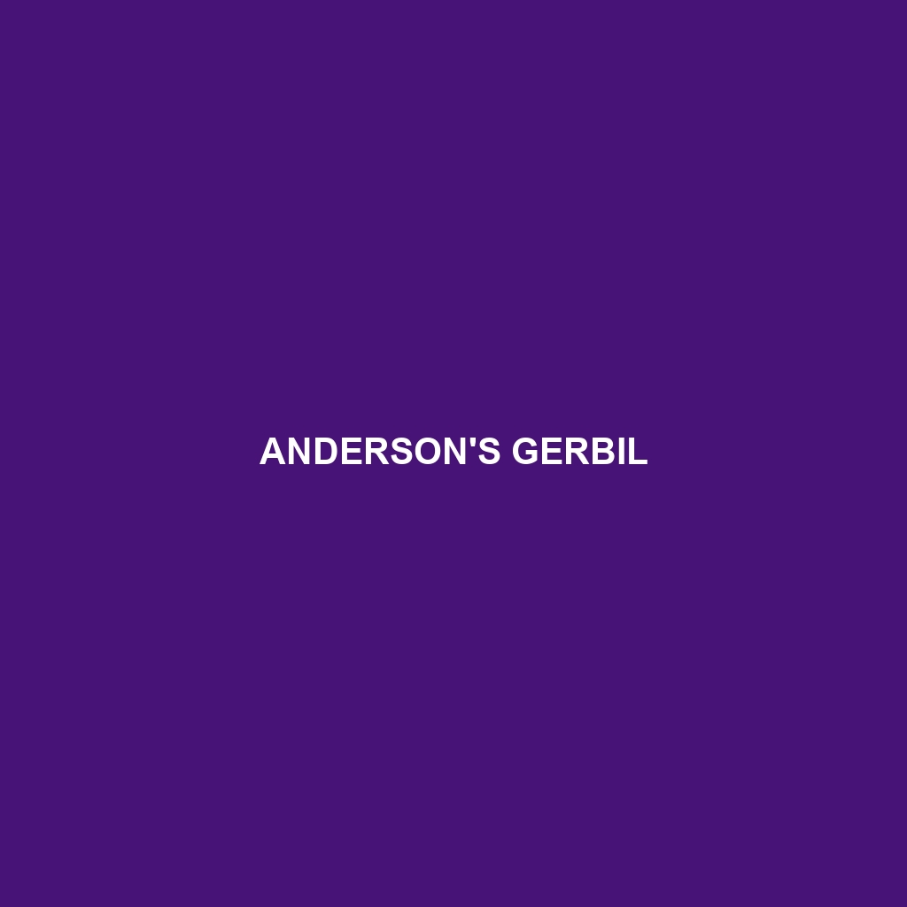 Anderson's Gerbil