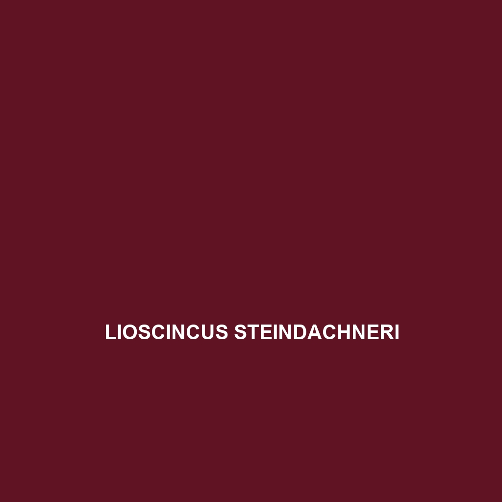 Lioscincus steindachneri