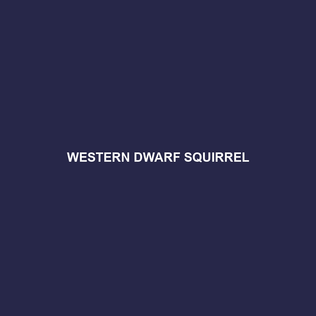 Western Dwarf Squirrel