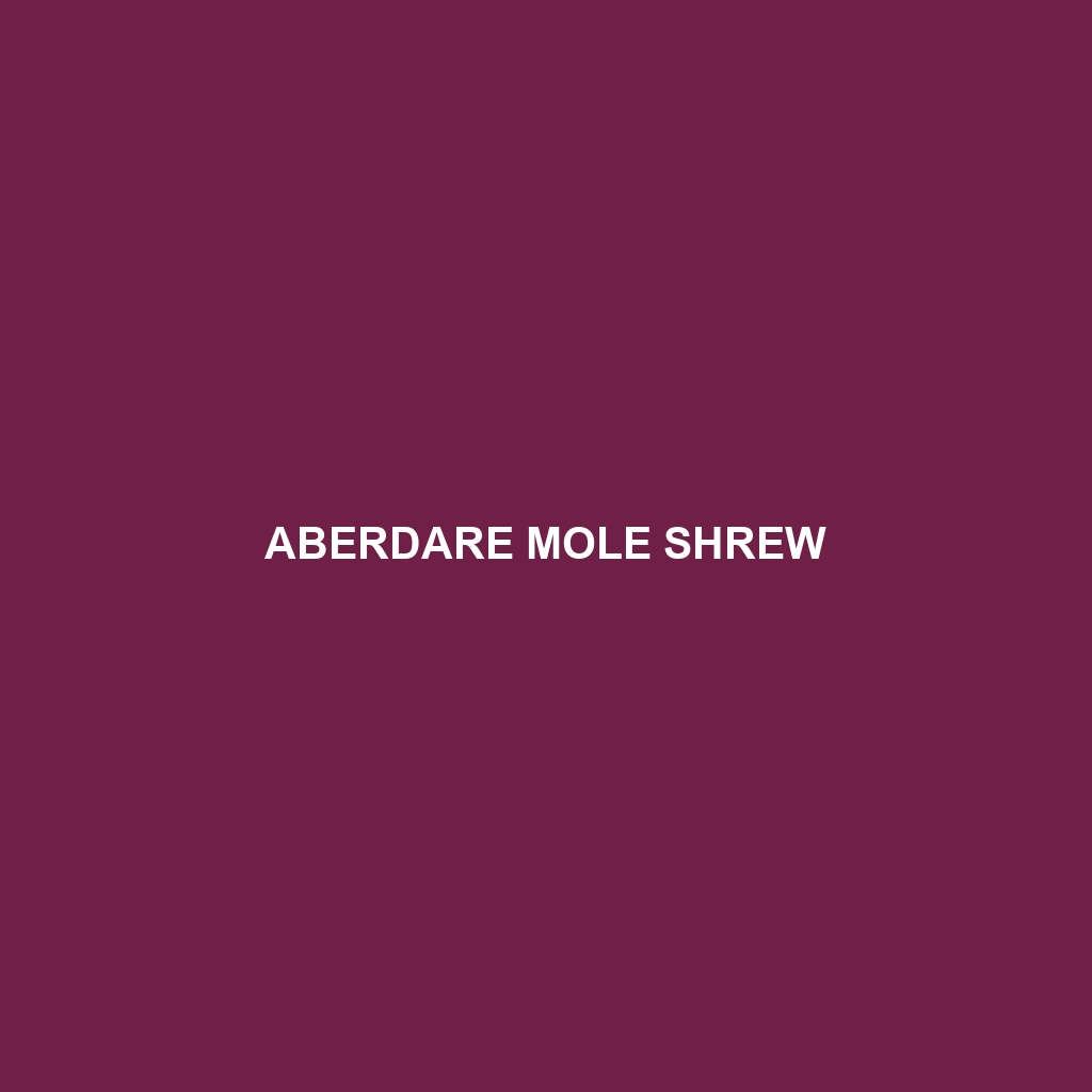 Aberdare Mole Shrew