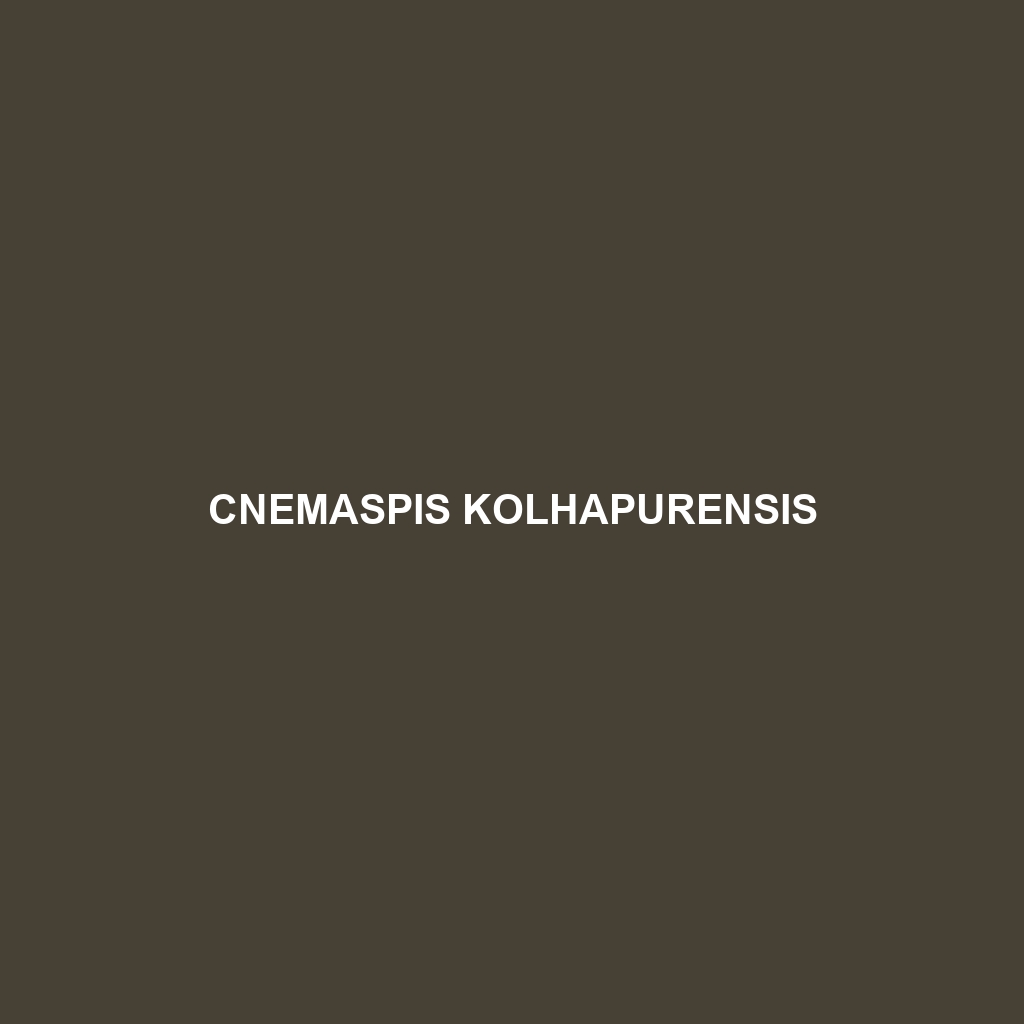 Cnemaspis kolhapurensis