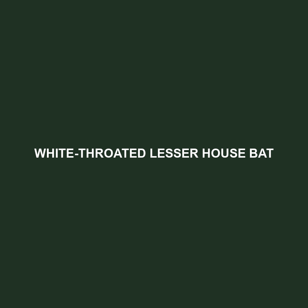 White-throated Lesser House Bat