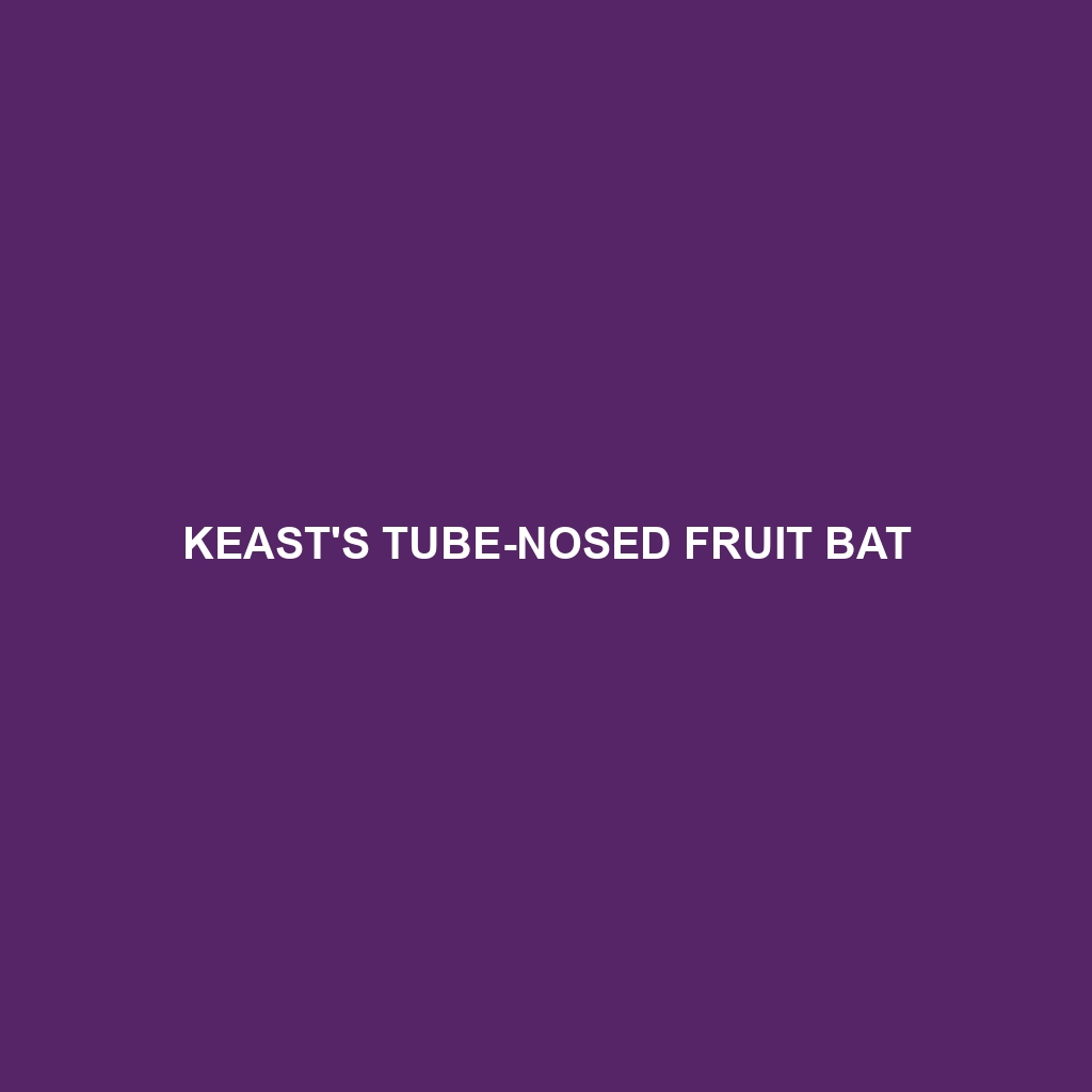 Keast's Tube-nosed Fruit Bat